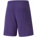 Vyriški Šortai Puma TeamRISE Violetinis 704942 10